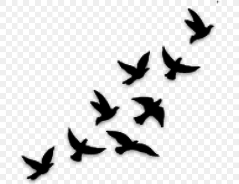 Bird Tattoo Flight Silhouette Drawing, PNG, 694x634px, Bird, Abziehtattoo, Beak, Bird Flight, Black And White Download Free