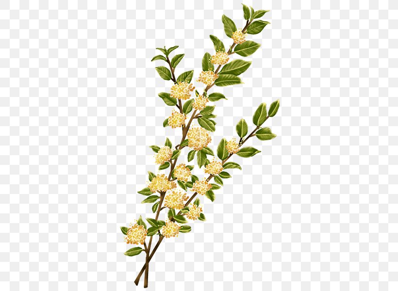 Flower Watercolor Painting Plant Stem, PNG, 600x600px, Flower, Branch, Computergenerated Imagery, Google Images, Idea Download Free