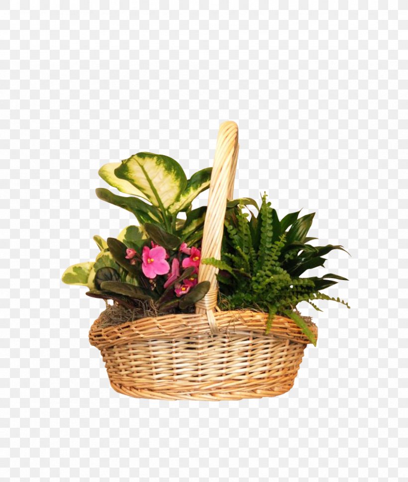 Food Gift Baskets Cut Flowers, PNG, 846x1000px, Food Gift Baskets, Basket, Cut Flowers, Flower, Flowerpot Download Free