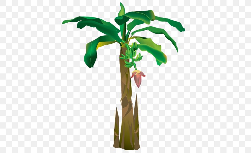 Saba Banana Plant Tree Musa Acuminata, PNG, 500x500px, Banana, Flower, Flowering Plant, Flowerpot, Food Download Free
