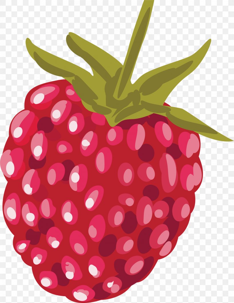Strawberry Red Raspberry Euclidean Vector, PNG, 1500x1945px, Strawberry, Accessory Fruit, Berry, Food, Fruit Download Free