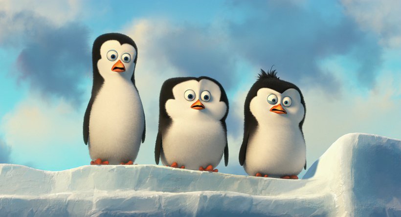 Kowalski Skipper Penguin Madagascar, PNG, 1280x694px, Kowalski, Animation, Beak, Bird, Dreamworks Animation Download Free