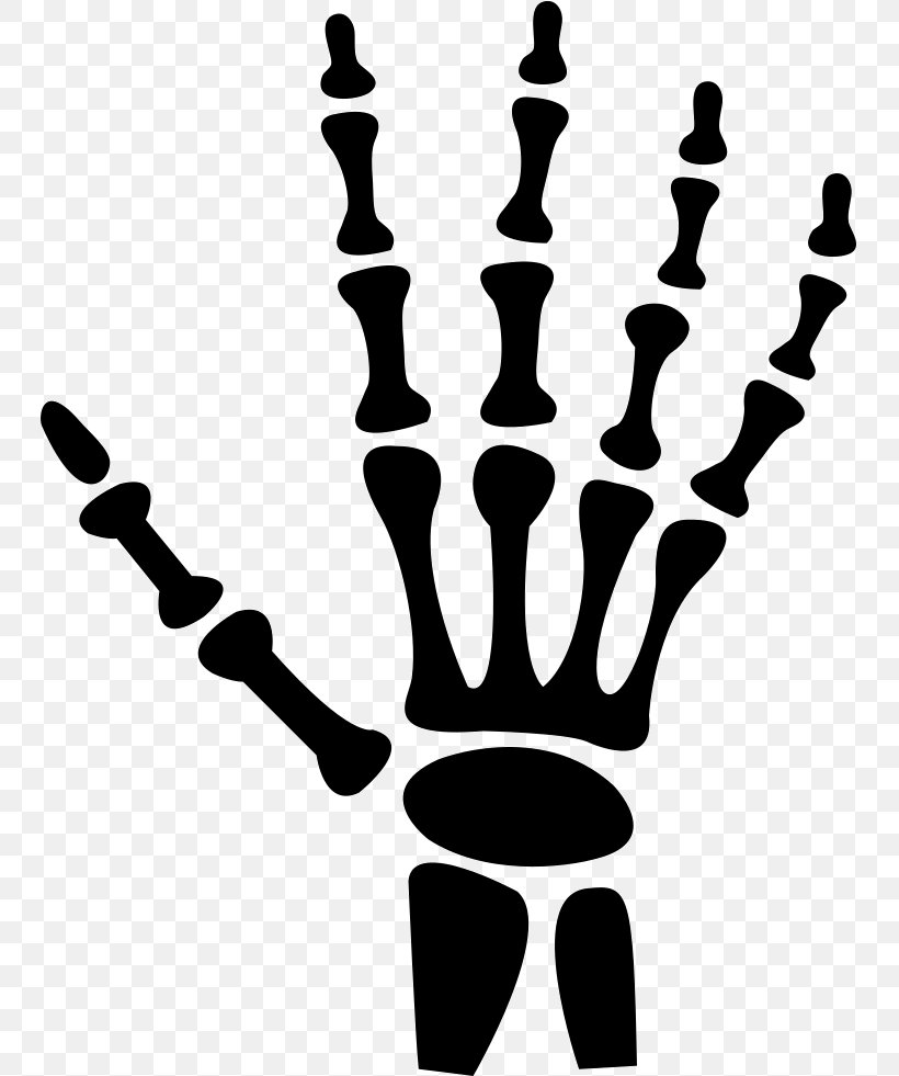 Hand Carpal Bones Human Skeleton, PNG, 745x981px, Hand, Blackandwhite, Bone, Candle Holder, Carpal Bones Download Free