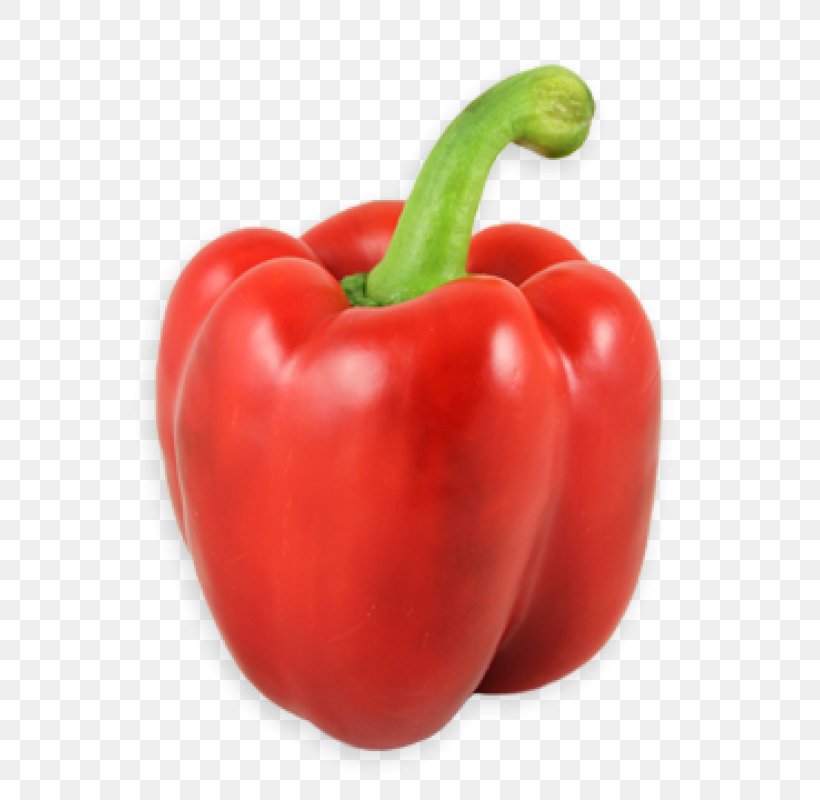 Bell Pepper Chili Pepper Hatch Clip Art, PNG, 800x800px, Bell Pepper, Acerola, Bell Peppers And Chili Peppers, Capsicum, Capsicum Annuum Download Free