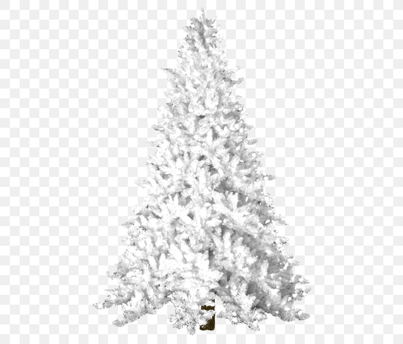 Christmas Black And White, PNG, 482x700px, Christmas Tree, American Larch, Artificial Christmas Tree, Balsam Fir, Branch Download Free