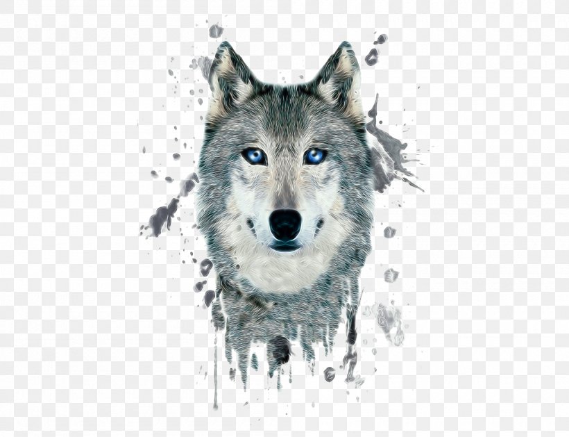 Arctic Wolf Poster Black Wolf Illustration, PNG, 1000x768px, Arctic Wolf, Art, Black Wolf, Carnivoran, Coyote Download Free