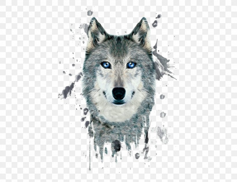 Arctic Wolf Poster Black Wolf Illustration Png 1000x768px