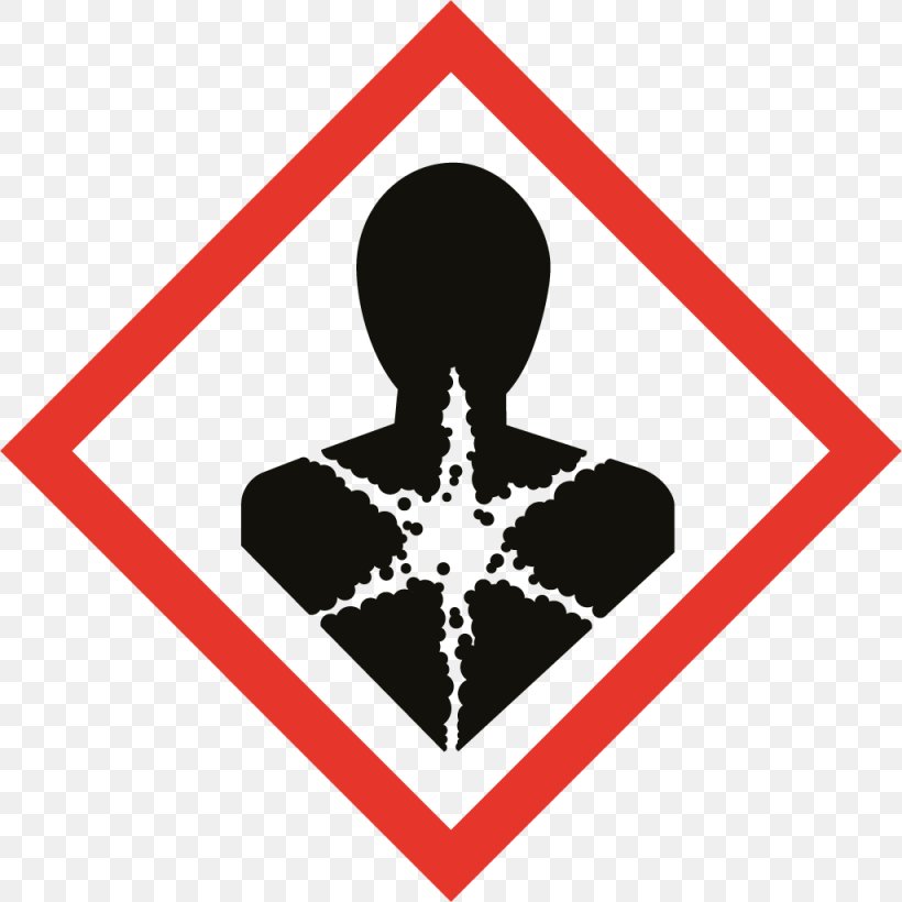GHS Hazard Pictograms Globally Harmonized System Of Classification And Labelling Of Chemicals Combustibility And Flammability Flammable Liquid, PNG, 1025x1025px, Ghs Hazard Pictograms, Area, Brand, Chemical Substance, Combustibility And Flammability Download Free