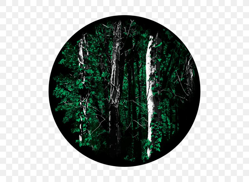 Gobo Forest Glass, PNG, 600x600px, Gobo, Branch, Forest, Glass, Tree Download Free