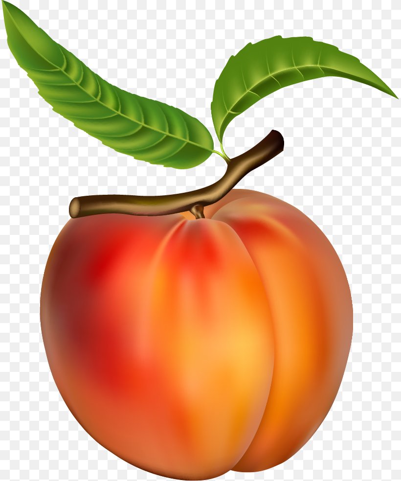 Juice Peach Fruit Clip Art, PNG, 813x983px, Juice, Apple, Banana, Berry, Diet Food Download Free