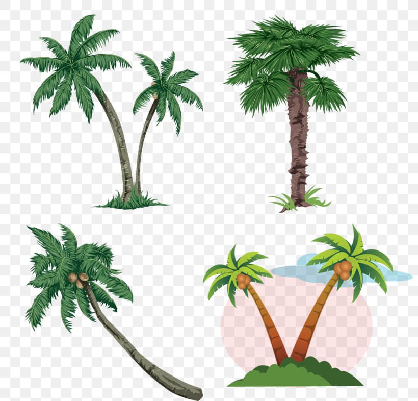Arecaceae Free Content Clip Art, PNG, 800x786px, Arecaceae, Arecales, Drawing, Flowering Plant, Flowerpot Download Free