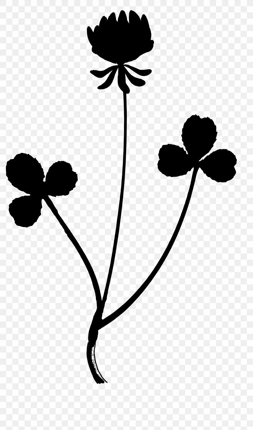 Clip Art Leaf Plant Stem Line Silhouette, PNG, 2150x3648px, Leaf, Anemone, Blackandwhite, Botany, Flower Download Free