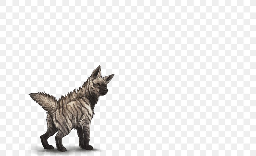Maltese Dog Cat Felidae Striped Hyena Lion, PNG, 640x500px, Maltese Dog, Canidae, Carnivora, Carnivoran, Cat Download Free