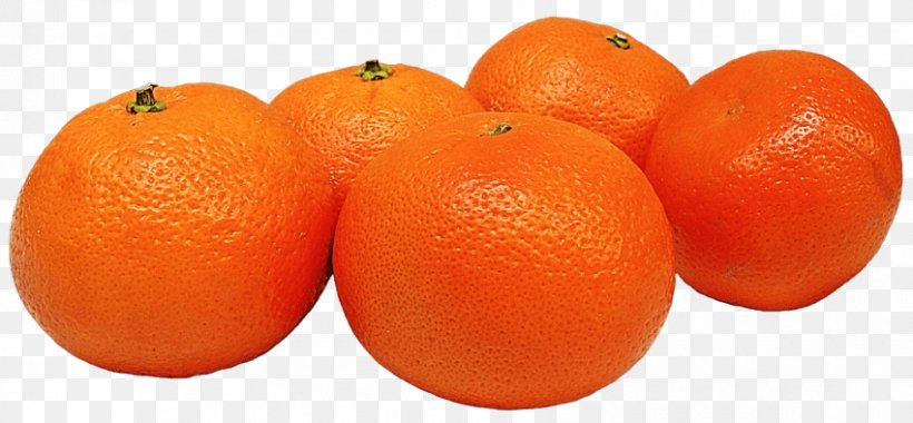 Mandarin Orange Tangerine Clementine, PNG, 850x394px, Mandarin Orange, Bitter Orange, Citric Acid, Citrus, Citrus Junos Download Free