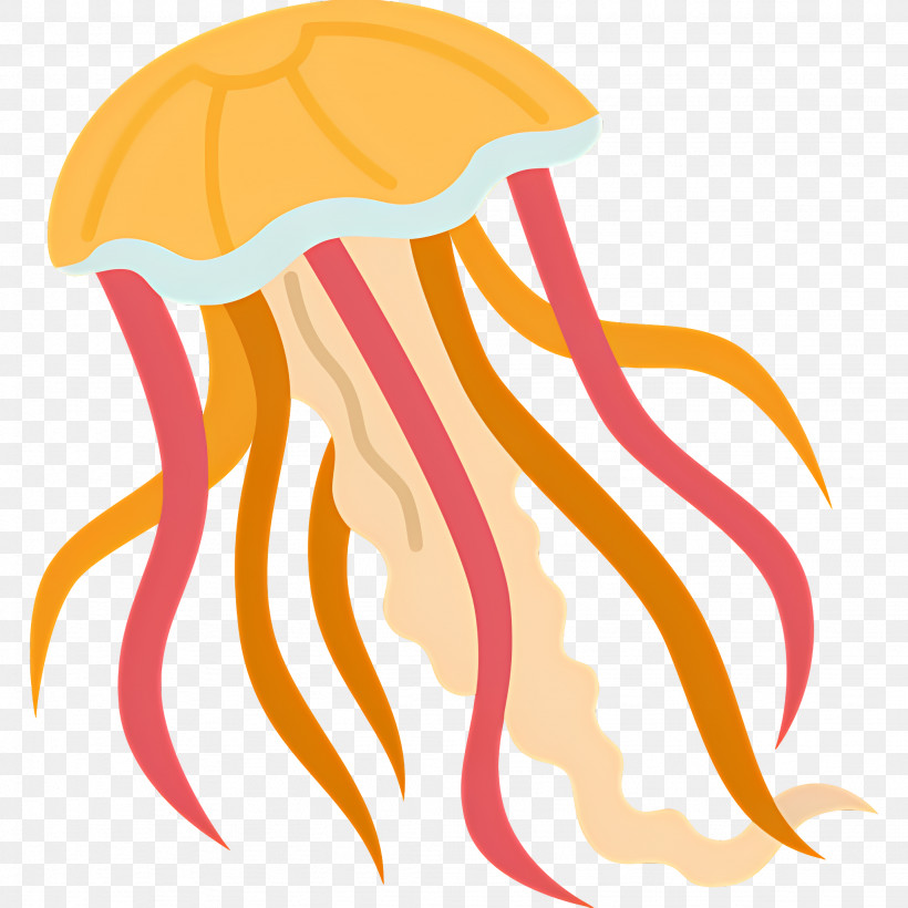 Jellyfish - Colorful Jellyfish PNG