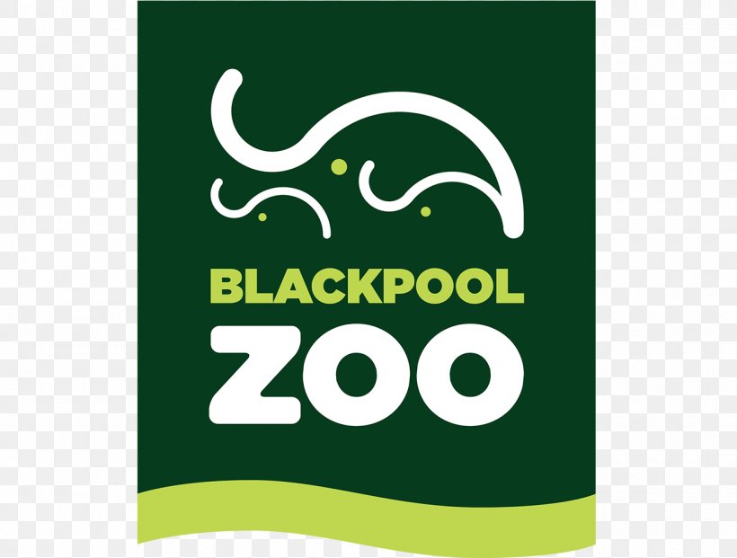 Blackpool Zoo Asian Elephant Tourist Attraction British And Irish Association Of Zoos And Aquariums, PNG, 1320x1001px, Blackpool Zoo, Advertising, Area, Asian Elephant, Banner Download Free