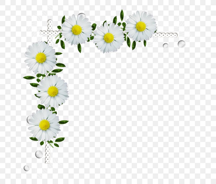 Desktop Wallpaper Clip Art, PNG, 700x700px, Picture Frames, Chamaemelum Nobile, Chrysanths, Cut Flowers, Daisy Download Free