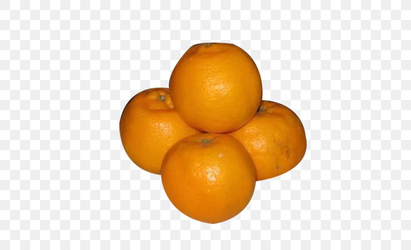 Orange Juice Blood Orange Tangelo Tangerine Mandarin Orange, PNG, 504x500px, Orange Juice, Bitter Orange, Blood Orange, Citric Acid, Citrus Download Free