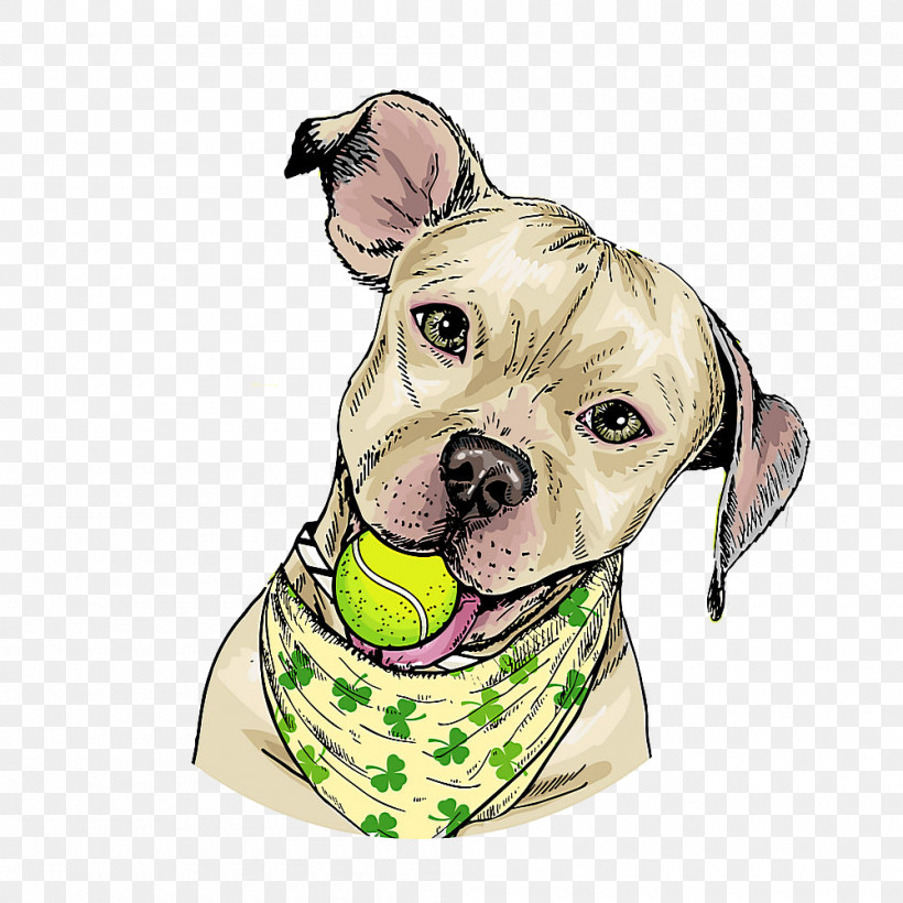 Dog Snout Pit Bull American Pit Bull Terrier Dog Collar, PNG, 1000x1000px, Dog, American Pit Bull Terrier, Dog Collar, Nonsporting Group, Pit Bull Download Free