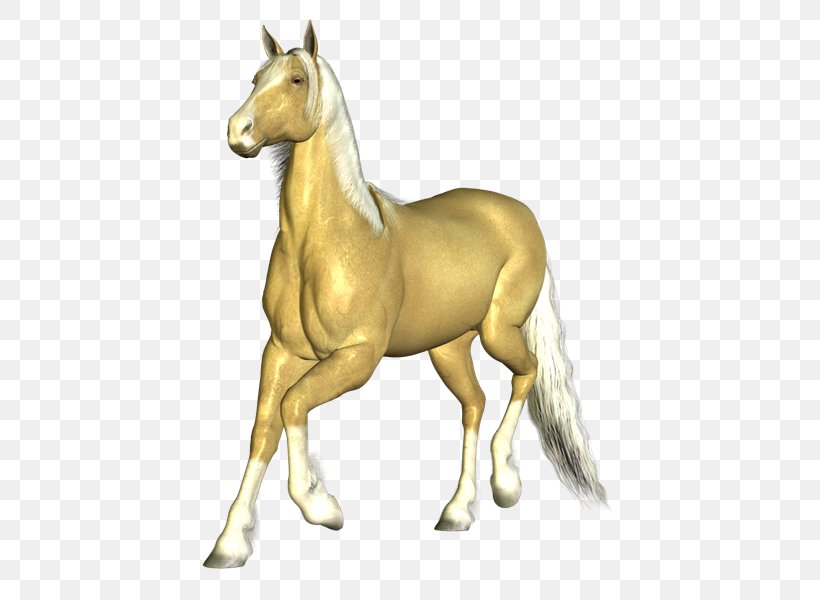 Feral Horse Animation, PNG, 800x600px, Horse, Animal Figure, Animation, Chestnut, Colt Download Free
