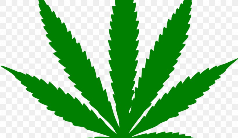 Hash, Marihuana & Hemp Museum Medical Cannabis 420 Day Cannabis Smoking, PNG, 960x560px, 420 Day, Hash Marihuana Hemp Museum, Cannabis, Cannabis Sativa, Cannabis Shop Download Free
