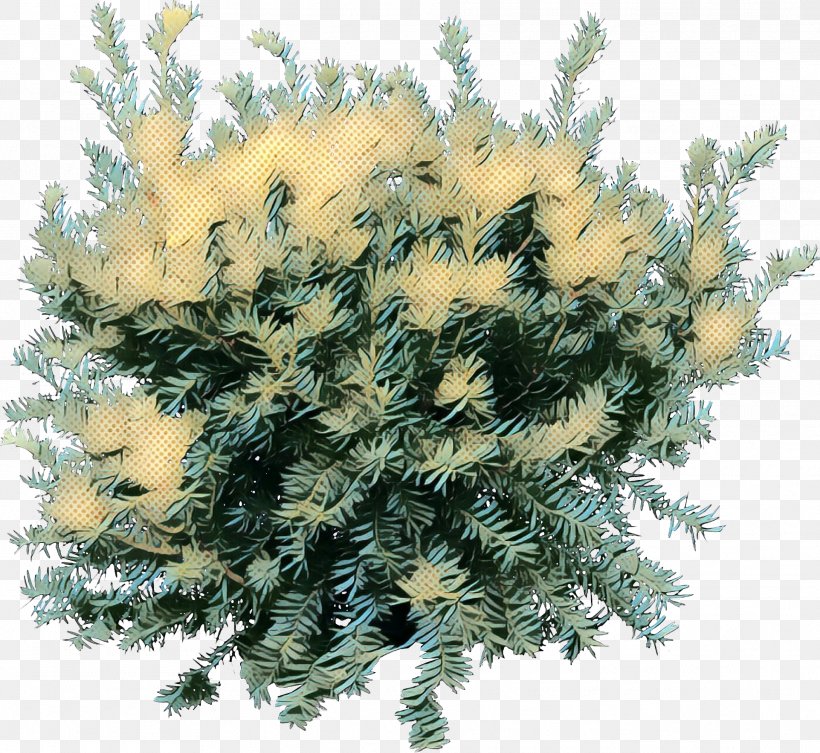 Spruce Tree Shrub Psd, PNG, 1923x1768px, Spruce, American Larch, Architecture, Colorado Spruce, Cypress Family Download Free