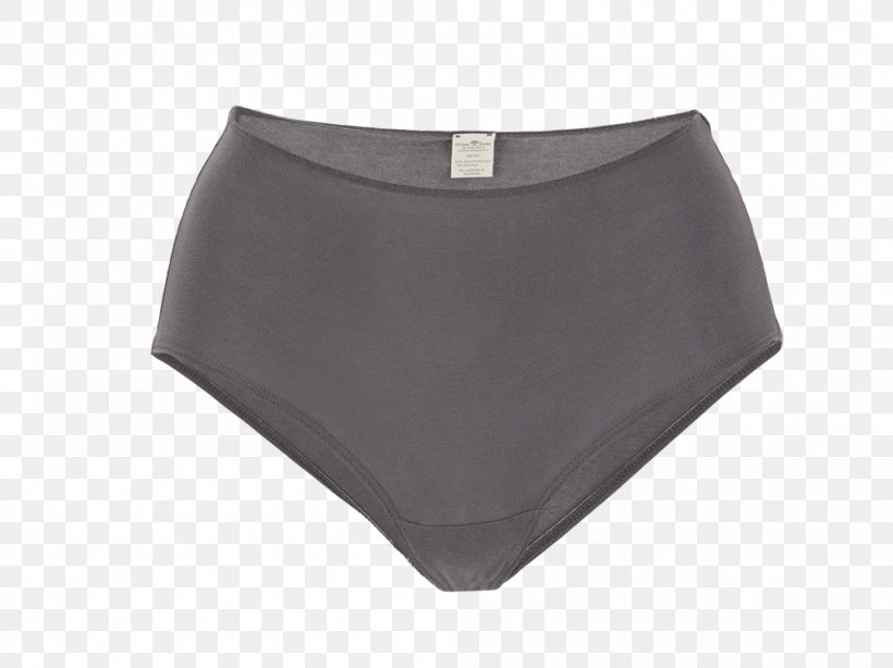 Swim Briefs Underpants Waist Swimsuit, PNG, 998x748px, Watercolor, Cartoon, Flower, Frame, Heart Download Free