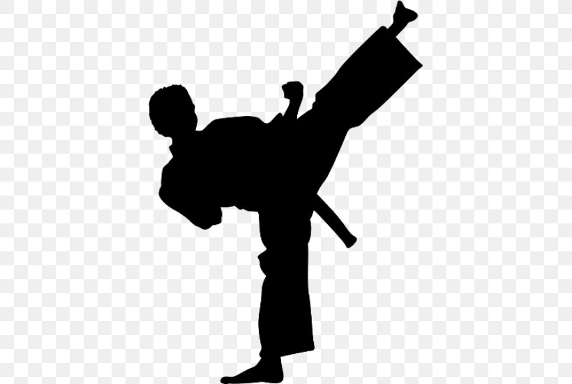 Wall Decal Kick Martial Arts Karate Taekwondo, PNG, 550x550px, Wall Decal, Arm, Black, Black And White, Combat Download Free