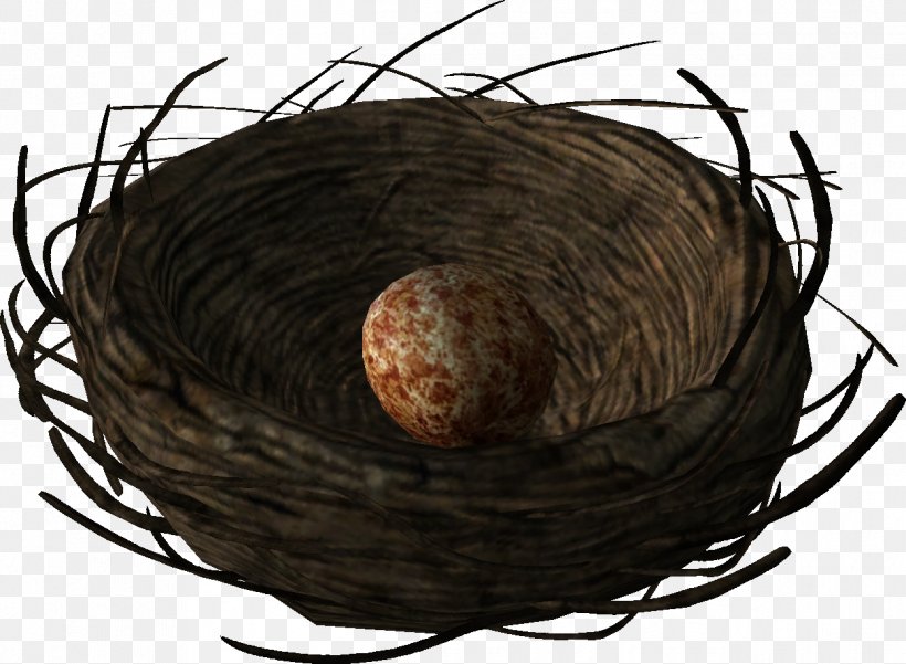 Bird Nest The Elder Scrolls V: Skyrim Cyrodiil Egg, PNG, 1247x915px, Bird Nest, Bird, Chicken, Cyrodiil, Egg Download Free