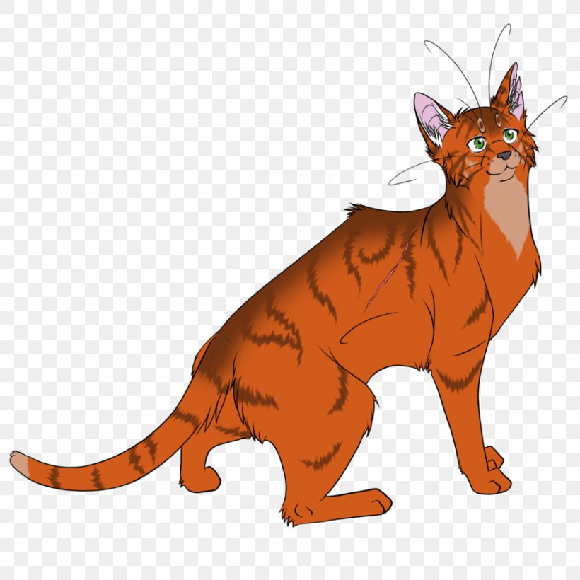 Cat Code Of The Clans Firestar Warriors Graystripe, PNG, 894x894px, Cat, Animal Figure, Carnivoran, Cat Like Mammal, Code Of The Clans Download Free