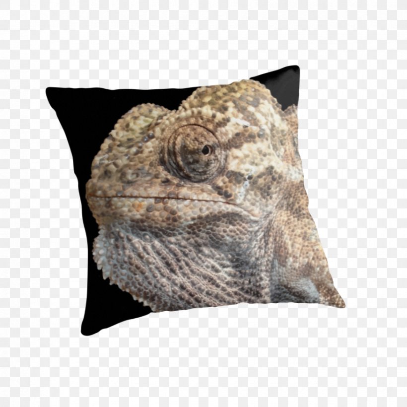 Chameleons Throw Pillows Cushion Cool, PNG, 875x875px, Chameleons, Attitude, Bag, Collage, Cool Download Free