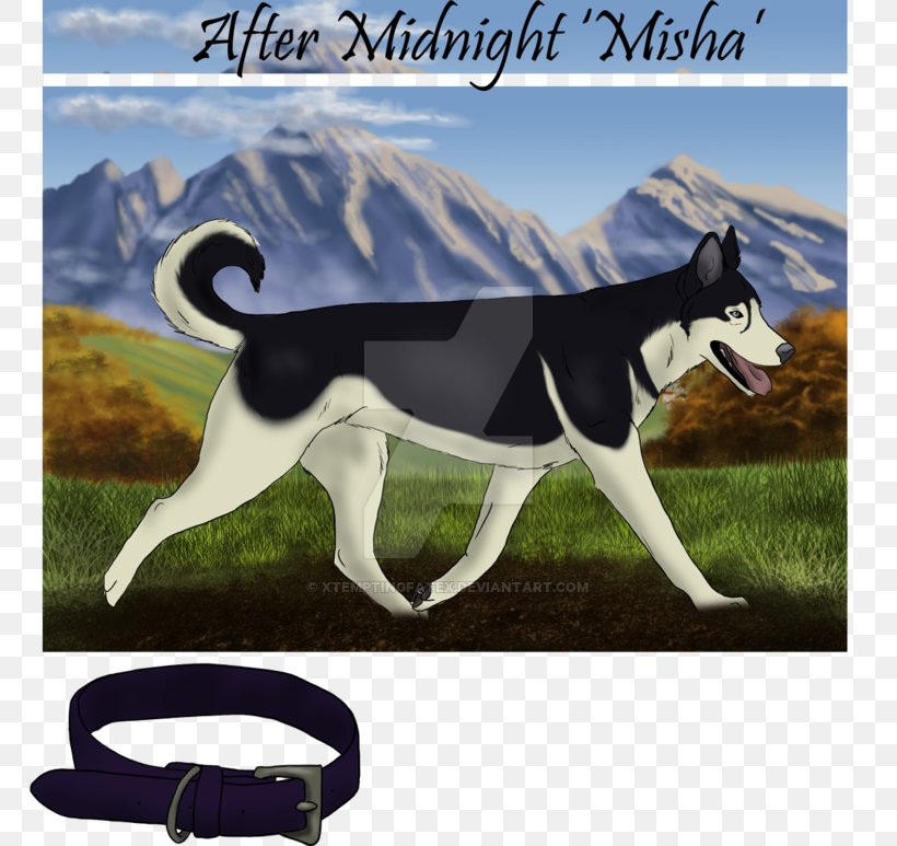 Dog Breed Advertising Leash Fauna, PNG, 800x773px, Dog Breed, Advertising, Breed, Breed Group Dog, Carnivoran Download Free