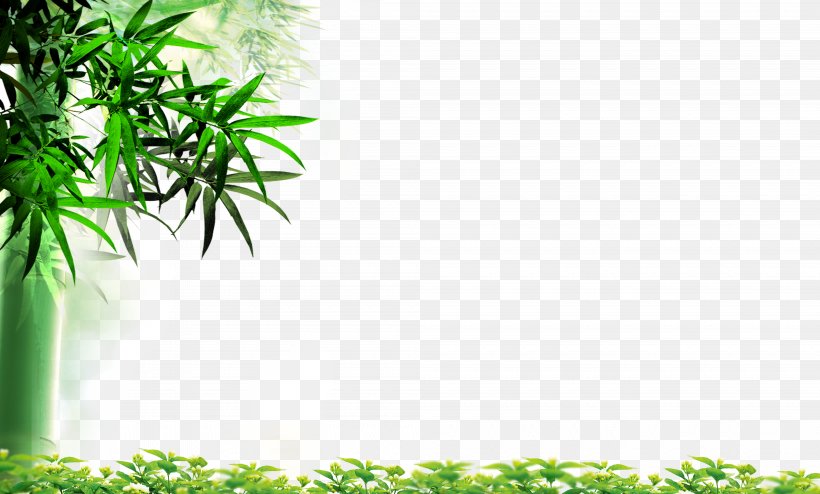Leaf Bamboo High-definition Television Wallpaper, PNG, 4000x2413px, Leaf, Android, Bamboe, Bamboo, Grass Download Free