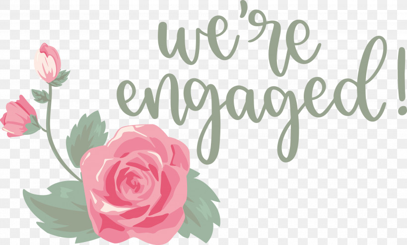 We Are Engaged Love, PNG, 3000x1808px, Love, Cut Flowers, Floral Design, Flower, Garden Download Free