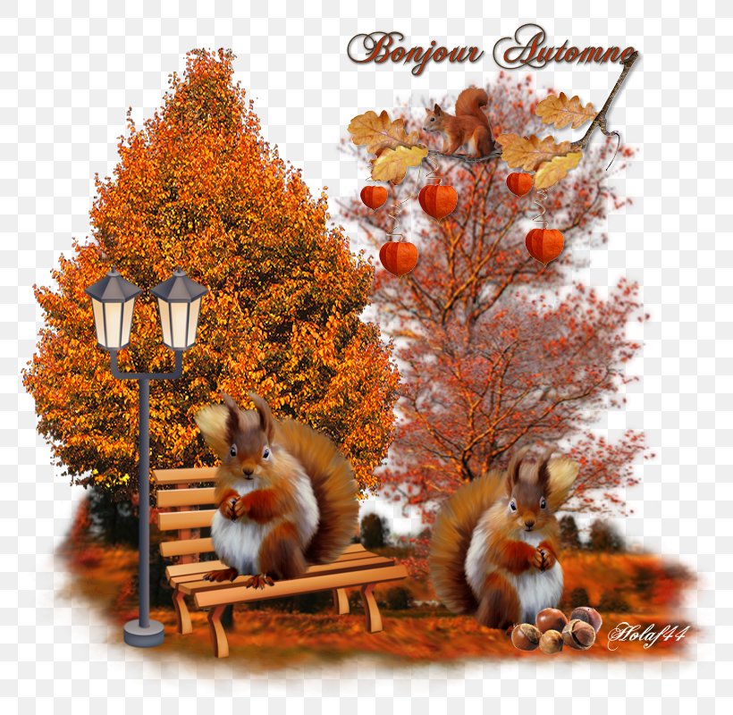 Wildlife Christmas Ornament Branching, PNG, 800x800px, Wildlife, Autumn, Branch, Branching, Christmas Download Free