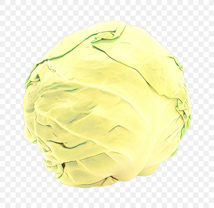 Cabbage Yellow Wild Cabbage Food, PNG, 800x800px, Cabbage, Food, Wild Cabbage, Yellow Download Free