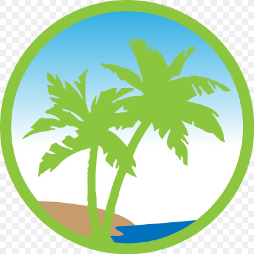 Coconut Tree Drawing, PNG, 1024x1024px, Palm Trees, Arecales, Beach Beach Chair, Drawing, Green Download Free