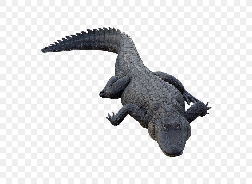 Crocodile Alligator Reptile, PNG, 600x600px, Crocodile, Alligator, Animal Figure, Crocodilia, Fauna Download Free