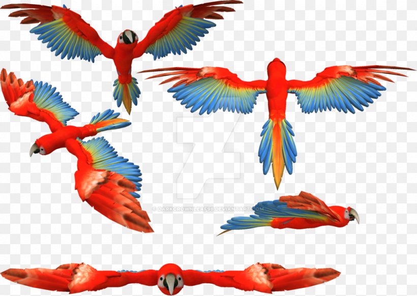 Scarlet Macaw Feather Parakeet Beak, PNG, 1024x727px, Macaw, Artist, Beak, Bird, Common Pet Parakeet Download Free