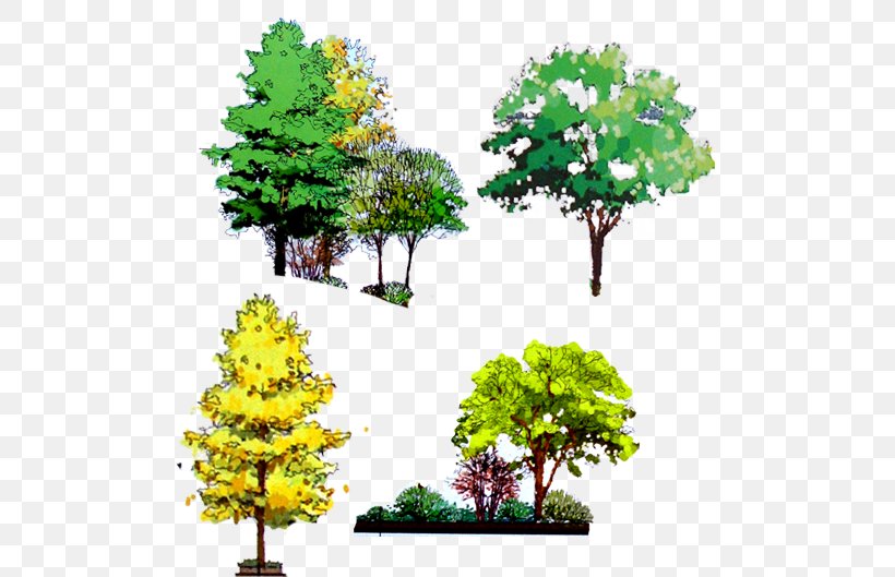 Tree Computer File, PNG, 520x529px, Tree, Arbor Day, Bonsai, Branch, Drawing Download Free