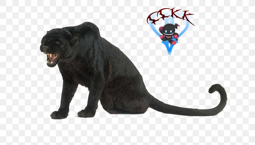 Black Panther Leopard Cougar Animal Homo Sapiens, PNG, 768x468px, Black Panther, Animal, Animal Figure, Big Cat, Big Cats Download Free