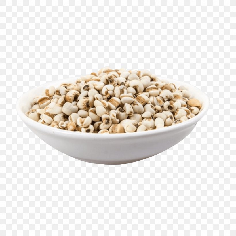 Bowl Coix Lacryma-jobi Grain Cereal Barley, PNG, 1024x1024px, Bowl, Barley, Bean, Cereal, Coix Lacrymajobi Download Free