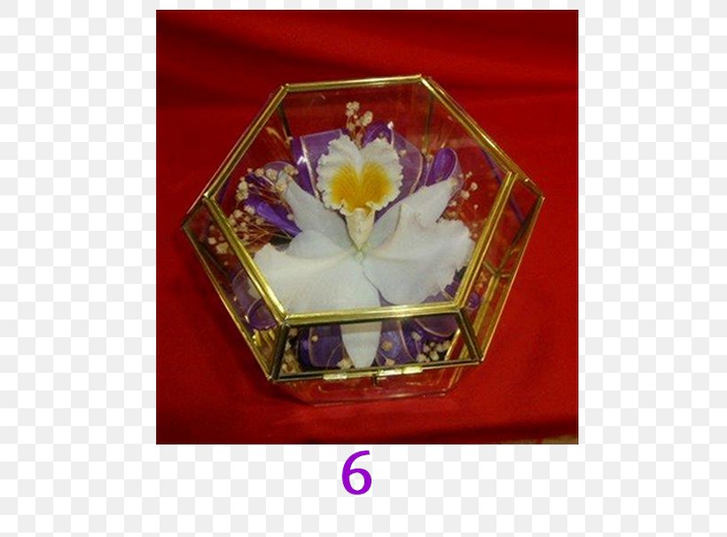 Florería Alamos Petal Porcelain Rectangle Orchids, PNG, 605x605px, Petal, Crystal, Mexico, Orchids, Porcelain Download Free