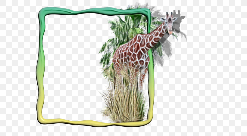Giraffe Giraffe / M Wildlife Terrestrial Plant Giraffids, PNG, 640x452px, Watercolor, Biology, Giraffe, Giraffe M, Giraffids Download Free