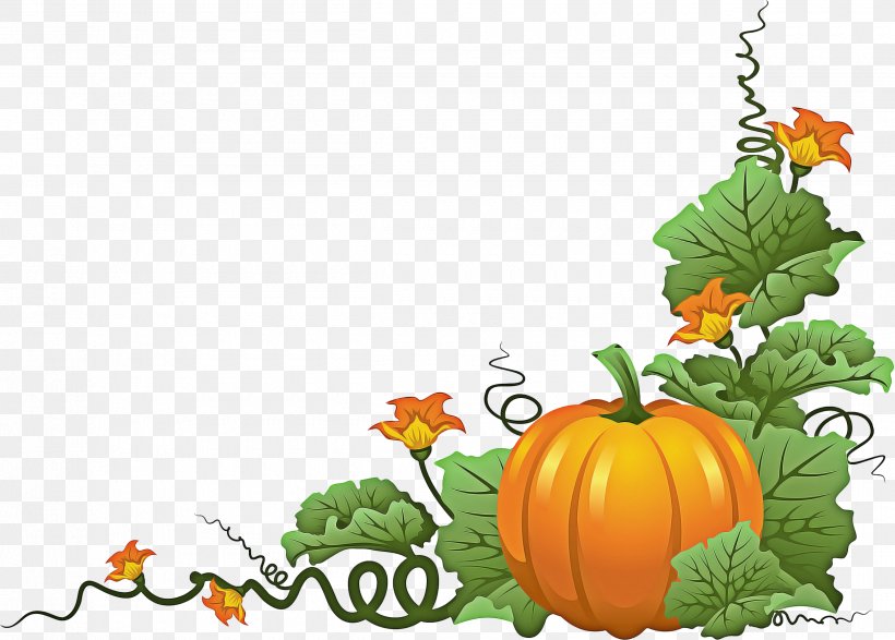 Halloween Orange Background, PNG, 2500x1790px, Pumpkin, Calabaza, Cucurbita, Drawing, Field Pumpkin Download Free
