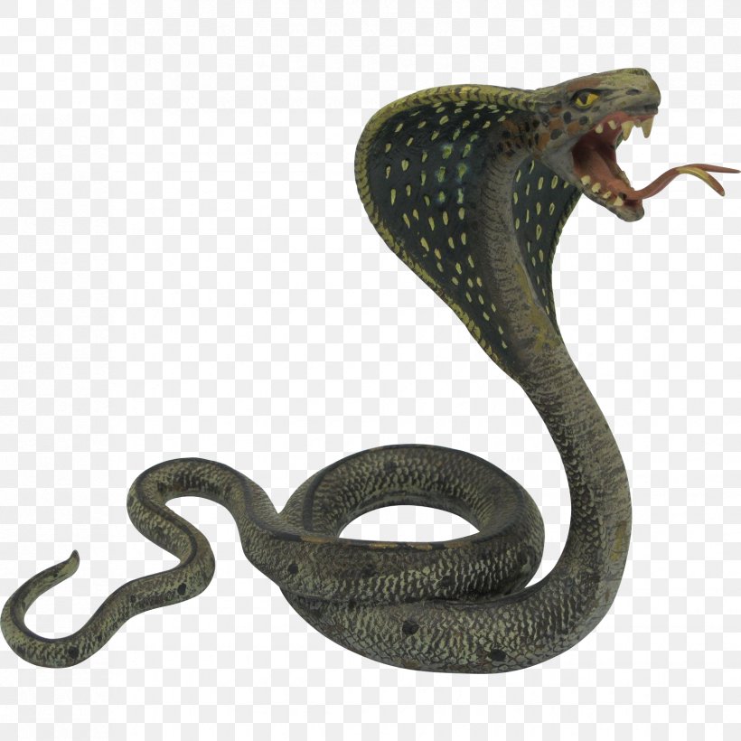 Indian Cobra Snake King Cobra, PNG, 1679x1679px, Indian Cobra, Cobra, Cobras, Colubridae, Elapidae Download Free