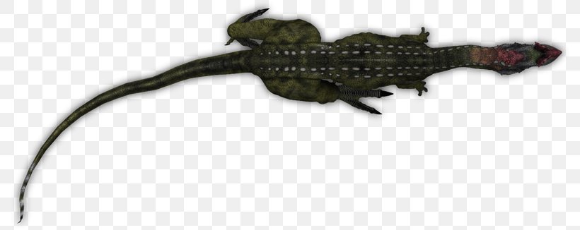 Lizard Amphibian Crocodiles Tail Animal, PNG, 792x326px, Lizard, Amphibian, Animal, Animal Figure, Crocodiles Download Free