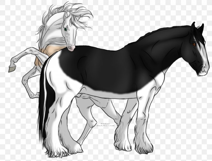 Stallion Mustang Shire Horse Foal Pony, PNG, 900x686px, Stallion, Black And White, Colt, Donkey, Drawing Download Free