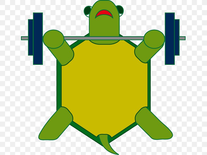 Turtle Animal Clip Art, PNG, 653x612px, Turtle, Amphibian, Animal, Area, Artwork Download Free