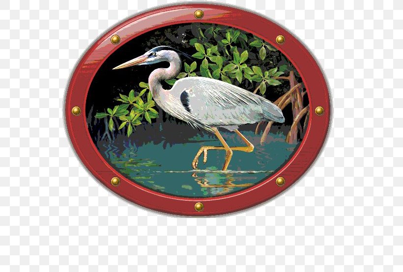 Everglades Isle Everglades National Park Caravan Park Campervans, PNG, 702x554px, Everglades, Beak, Bird, Bus, Campervans Download Free